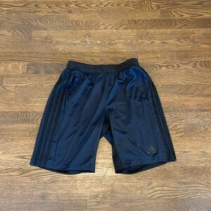 Adidas Climalite Shorts (S)
